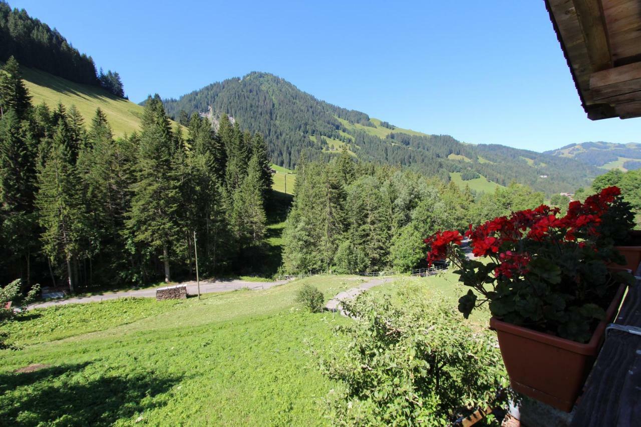 Les Favrod Apartment L'Etivaz Luaran gambar